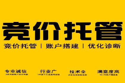 信息流广告投放策略优化：实战案例与数据支撑